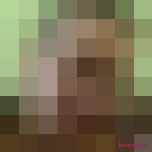 Ania9005, Kobieta, 35 lat, Bracknell