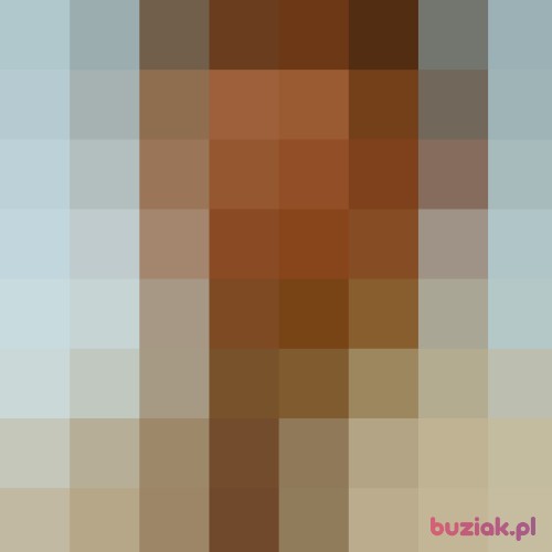 karolxyz2, Male, 54 years, Gniezno