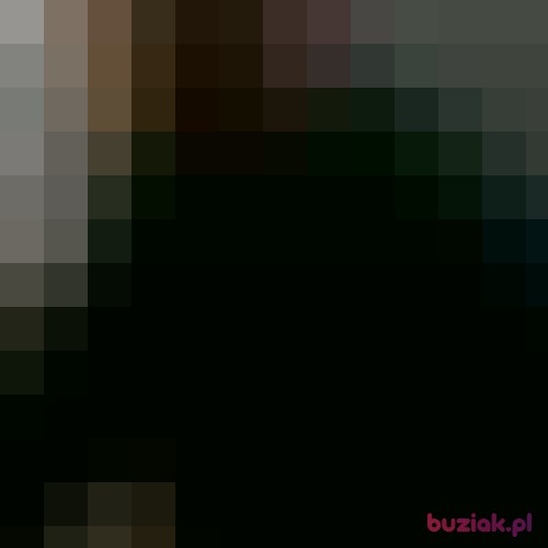 Krisxx43, Mężczyzna, 43 lata, Toruń