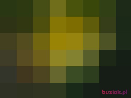 miron7, Male, 65 years, Warszawa