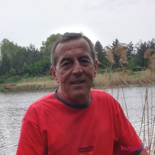 kazikg, Male, 69 years, Ruda Śląska