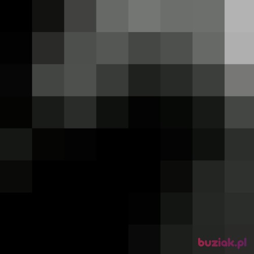 Skeyba, Male, 26 years, Poznań