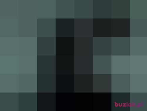 mrok1, Male, 44 years, Krotoszyn