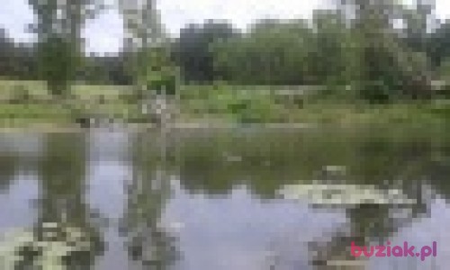 cajmer88, Mężczyzna, 36 lat, Nowy Dwór Mazowiecki