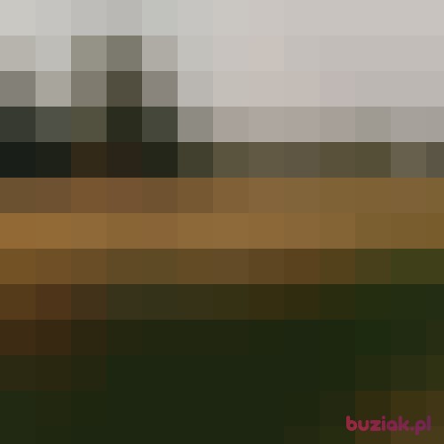 bccustom, Male, 32 years, Brzesko