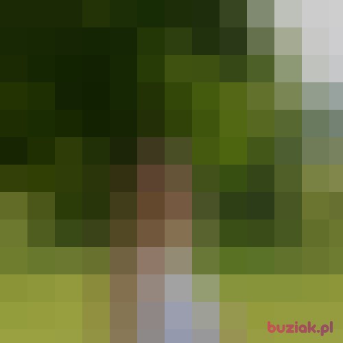 cukiereczek2828, Kobieta, 38 lat, Sanok