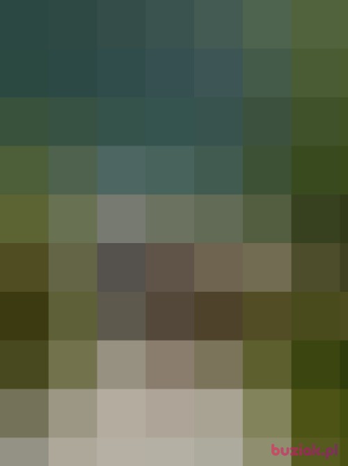 efreina, Kobieta, 53 lata, kujawsko-pomorskie