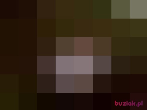stiwen, Male, 51 years, Jedlicze