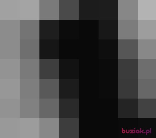 Brunno, Male, 38 years, Katowice