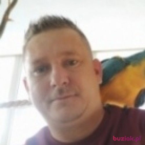 Robertflevo, Mężczyzna, 43 lata, Flevoland