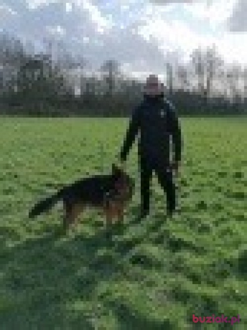 Marcooy, Male, 50 years, Manchester