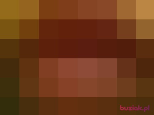 aniazxD, Female, 45 years, Rzeszów