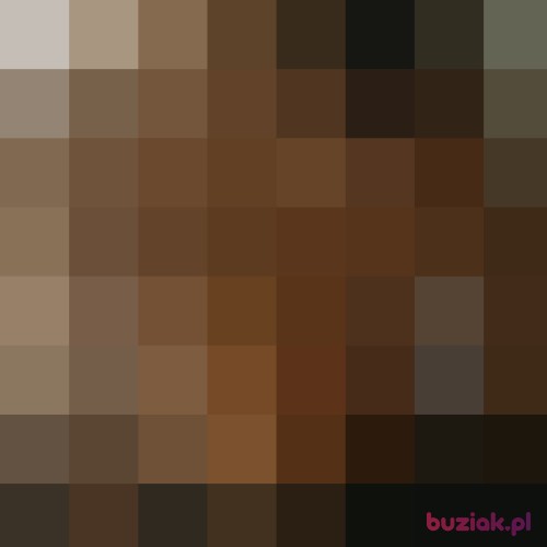 R061, Male, 30 years, Legnica